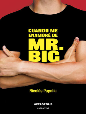 cover image of Cuando me enamoré de Mr. Big